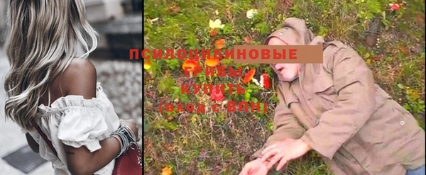 гашик Волосово
