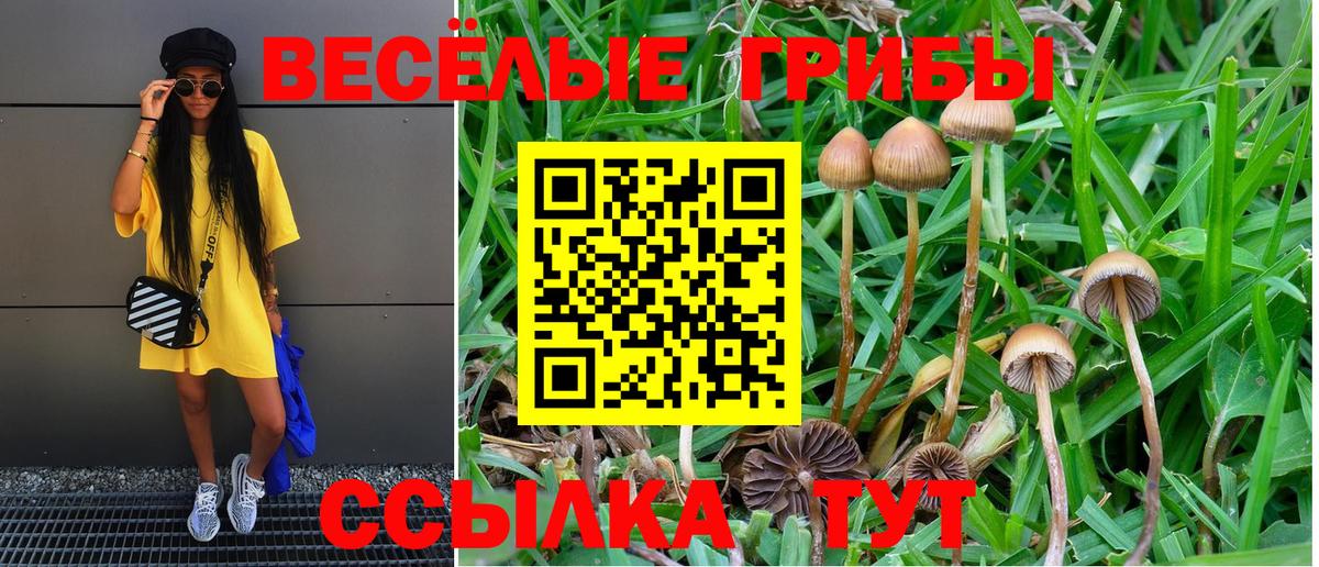 Галлюциногенные грибы Psilocybe  Вход с VPN  где можно купить   Муром 